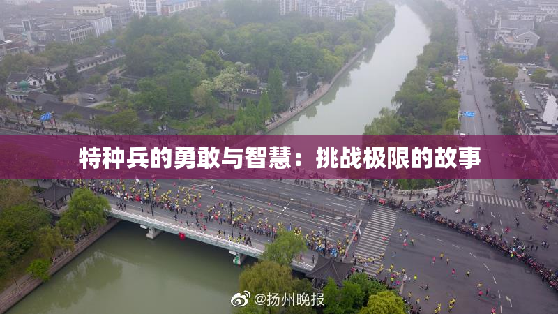 特种兵的勇敢与智慧：挑战极限的故事
