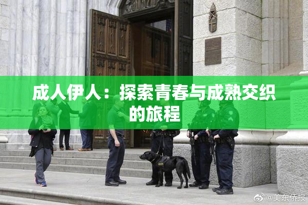 成人伊人：探索青春与成熟交织的旅程