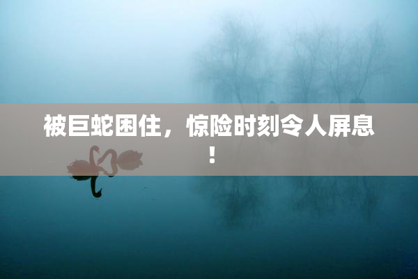 被巨蛇困住，惊险时刻令人屏息！