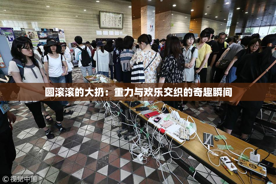 圆滚滚的大扔：重力与欢乐交织的奇趣瞬间