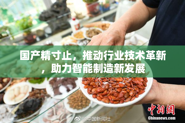 国产精寸止，推动行业技术革新，助力智能制造新发展