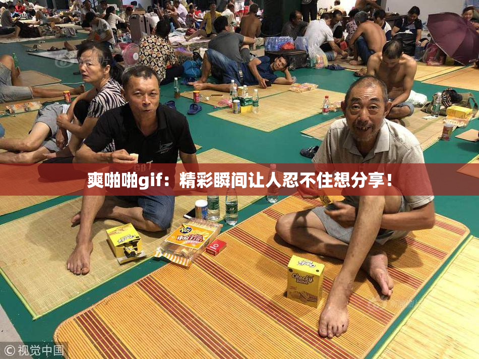 爽啪啪gif：精彩瞬间让人忍不住想分享！