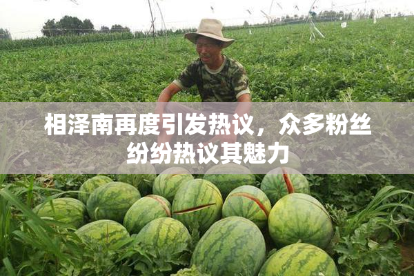 相泽南再度引发热议，众多粉丝纷纷热议其魅力