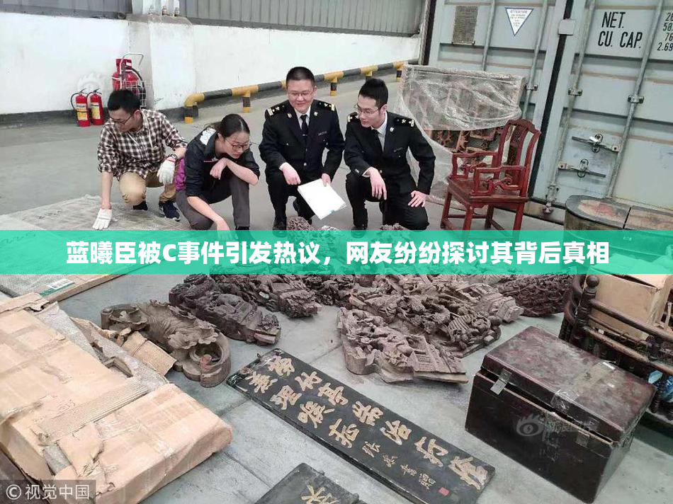 蓝曦臣被C事件引发热议，网友纷纷探讨其背后真相