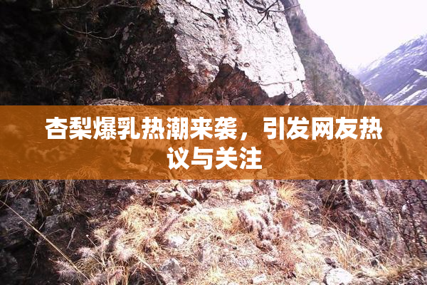 杏梨爆乳热潮来袭，引发网友热议与关注