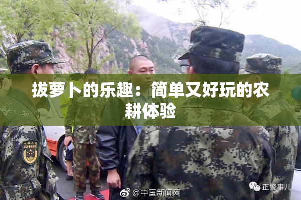 拔萝卜的乐趣：简单又好玩的农耕体验