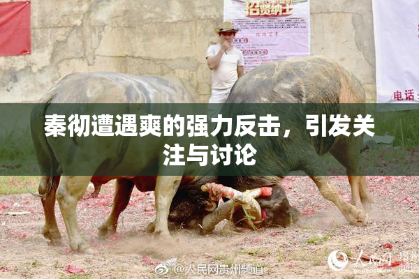 秦彻遭遇爽的强力反击，引发关注与讨论