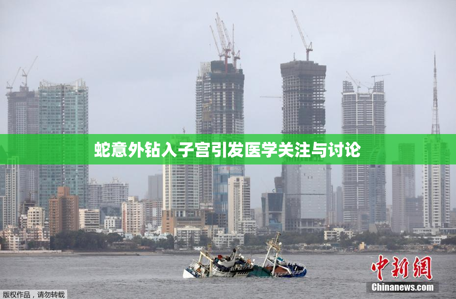 蛇意外钻入子宫引发医学关注与讨论