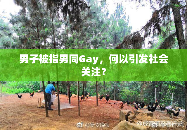 男子被指男同Gay，何以引发社会关注？