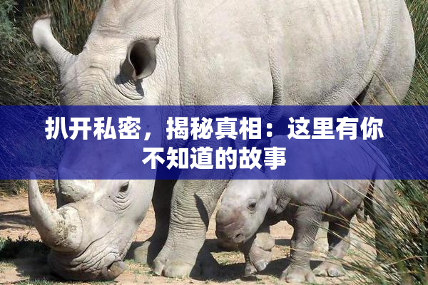 扒开私密，揭秘真相：这里有你不知道的故事