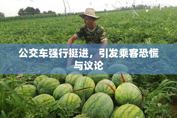 公交车强行挺进，引发乘客恐慌与议论