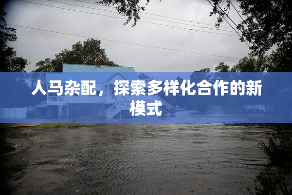 人马杂配，探索多样化合作的新模式