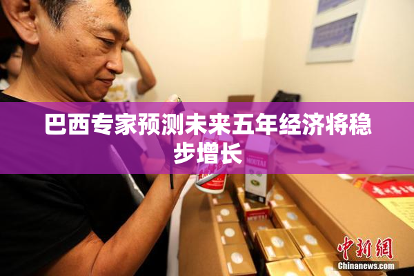 巴西专家预测未来五年经济将稳步增长