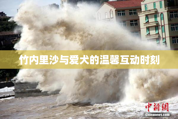 竹内里沙与爱犬的温馨互动时刻