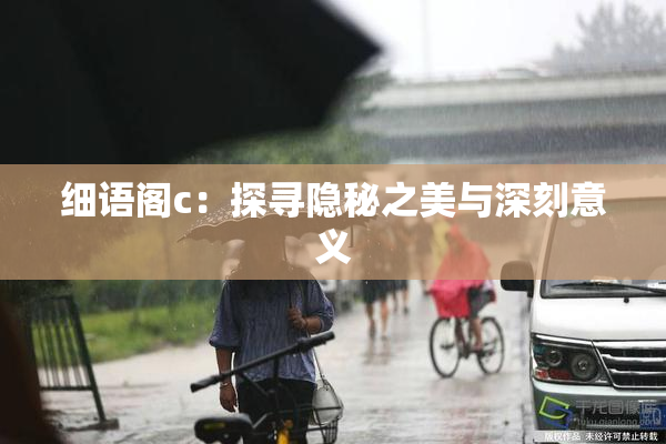 细语阁c：探寻隐秘之美与深刻意义