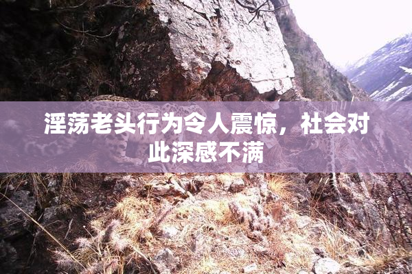 淫荡老头行为令人震惊，社会对此深感不满