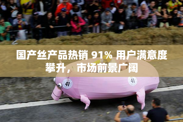 国产丝产品热销 91% 用户满意度攀升，市场前景广阔