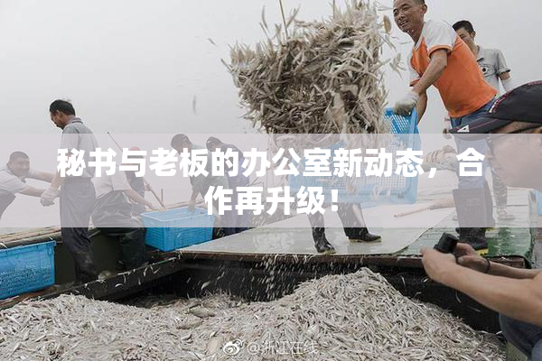 秘书与老板的办公室新动态，合作再升级！