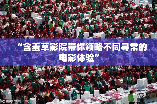 “含羞草影院带你领略不同寻常的电影体验”