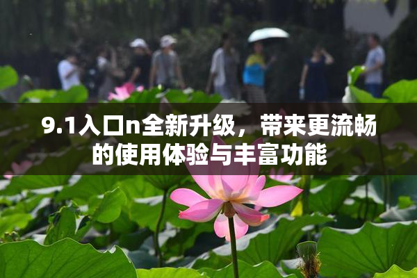9.1入口n全新升级，带来更流畅的使用体验与丰富功能
