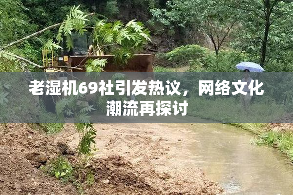老湿机69社引发热议，网络文化潮流再探讨