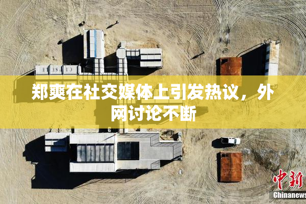 郑爽在社交媒体上引发热议，外网讨论不断