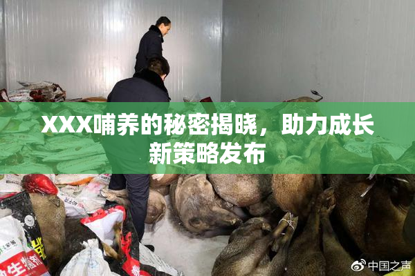 XXX哺养的秘密揭晓，助力成长新策略发布