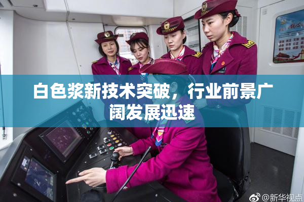 白色浆新技术突破，行业前景广阔发展迅速