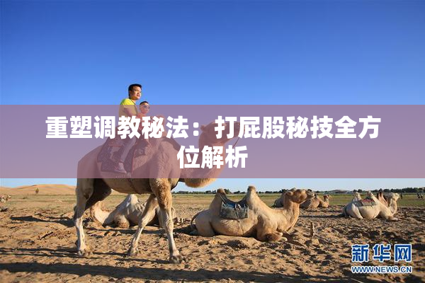 重塑调教秘法：打屁股秘技全方位解析