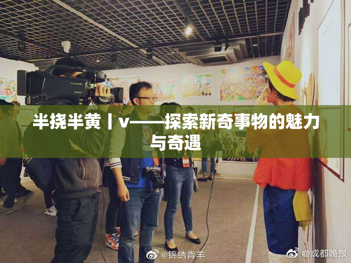 半挠半黄丨v——探索新奇事物的魅力与奇遇