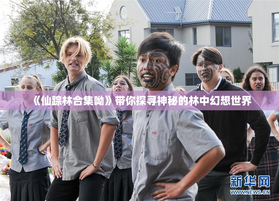 《仙踪林合集呦》带你探寻神秘的林中幻想世界