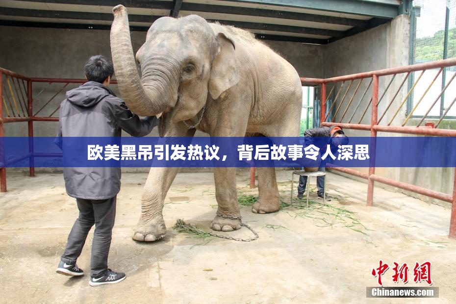 欧美黑吊引发热议，背后故事令人深思