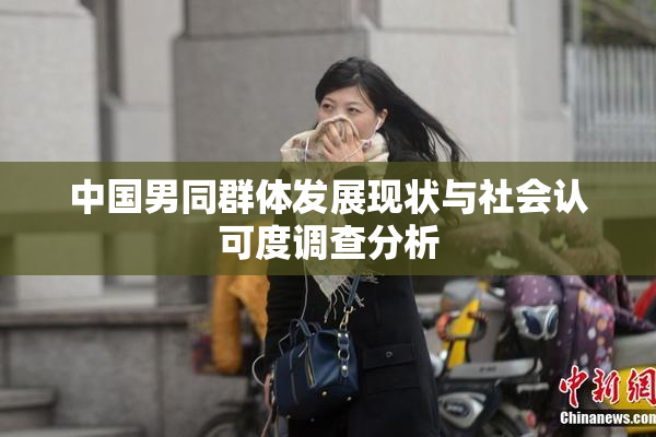 中国男同群体发展现状与社会认可度调查分析