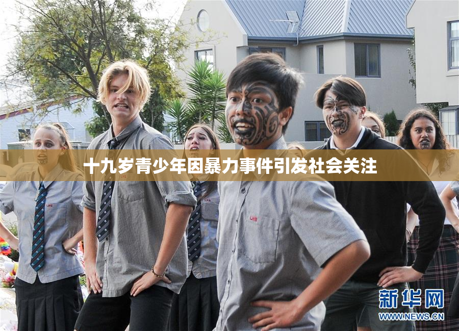 十九岁青少年因暴力事件引发社会关注