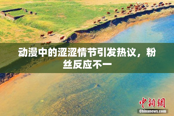 动漫中的涩涩情节引发热议，粉丝反应不一