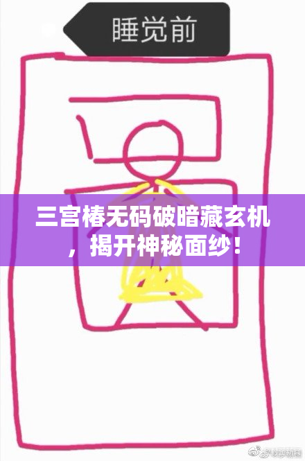 三宫椿无码破暗藏玄机，揭开神秘面纱！