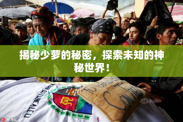 揭秘少萝的秘密，探索未知的神秘世界！