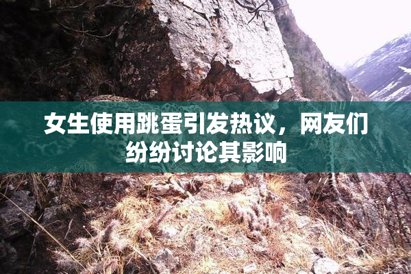女生使用跳蛋引发热议，网友们纷纷讨论其影响