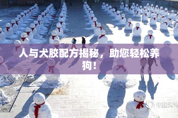 人与犬胶配方揭秘，助您轻松养狗！