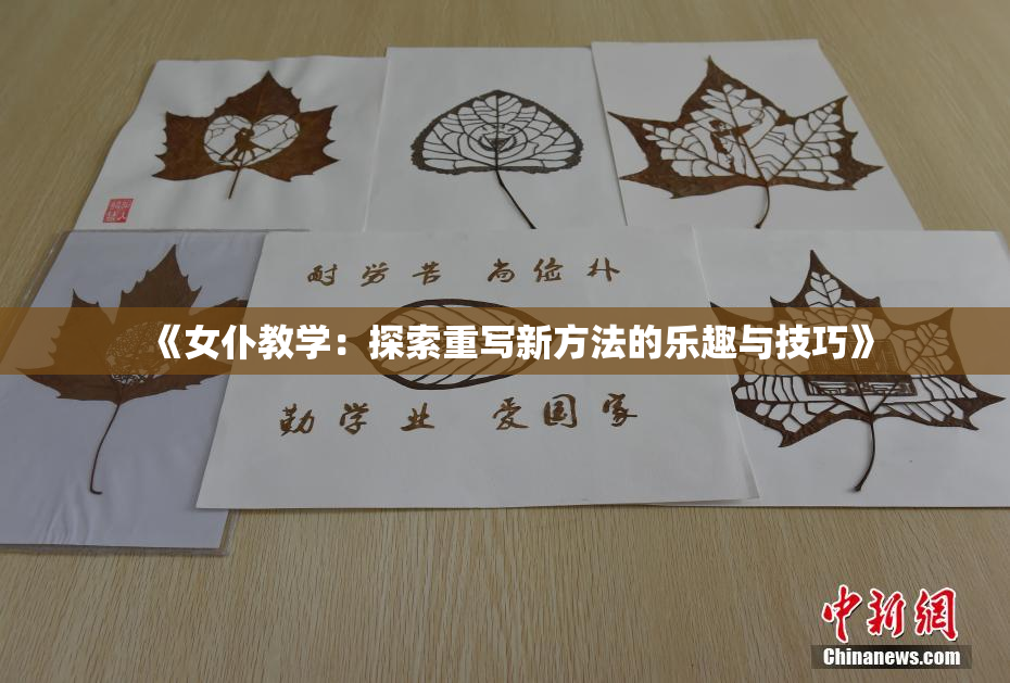 《女仆教学：探索重写新方法的乐趣与技巧》