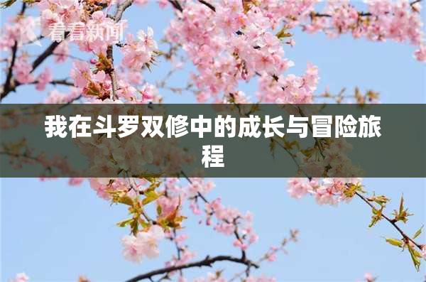 我在斗罗双修中的成长与冒险旅程