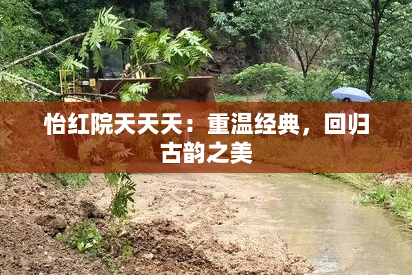 怡红院天天天：重温经典，回归古韵之美