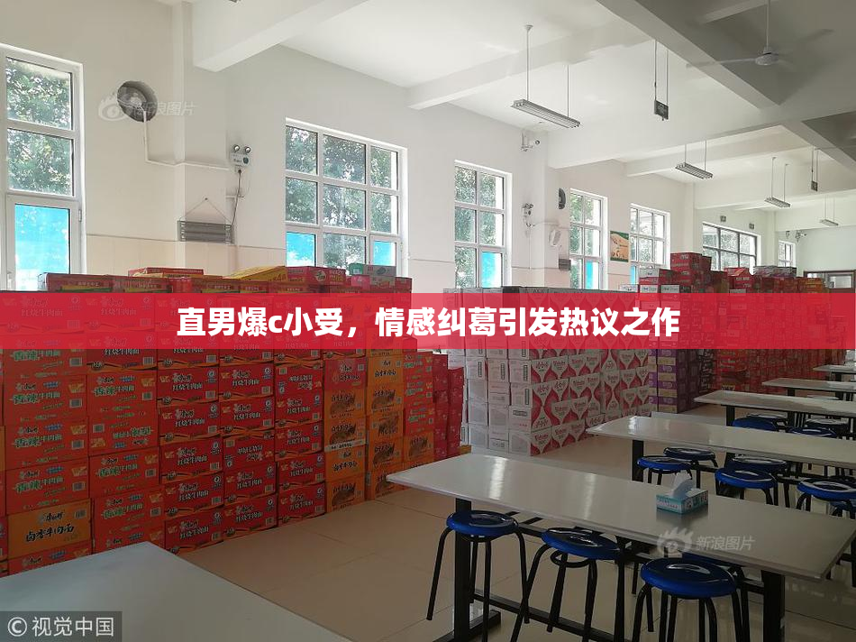 直男爆c小受，情感纠葛引发热议之作