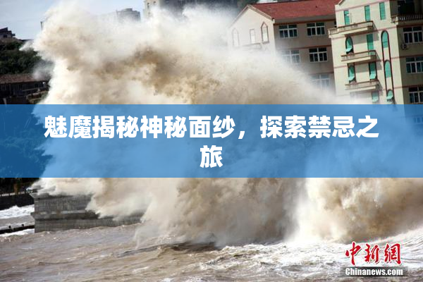 魅魔揭秘神秘面纱，探索禁忌之旅