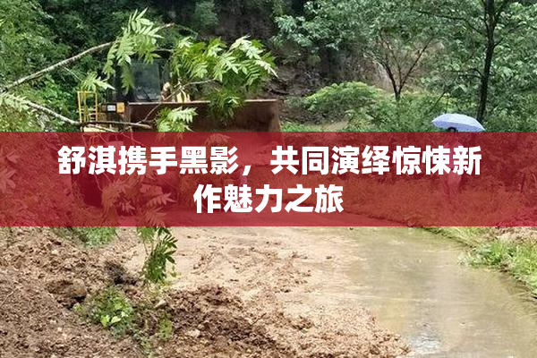 舒淇携手黑影，共同演绎惊悚新作魅力之旅