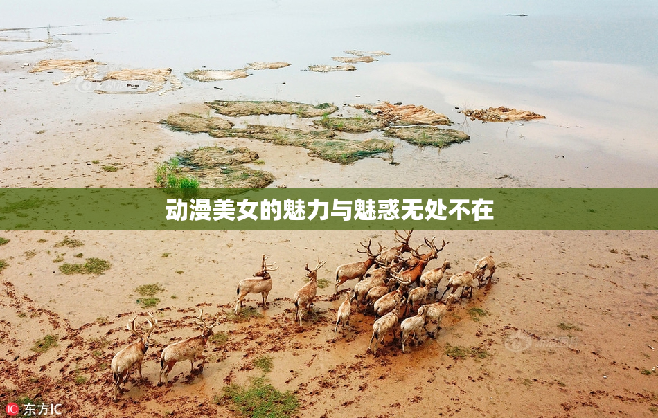 动漫美女的魅力与魅惑无处不在