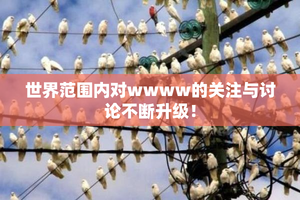 世界范围内对wwww的关注与讨论不断升级！