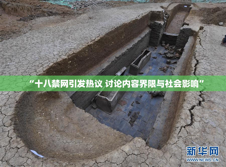 “十八禁网引发热议 讨论内容界限与社会影响”