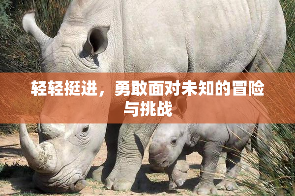 轻轻挺进，勇敢面对未知的冒险与挑战