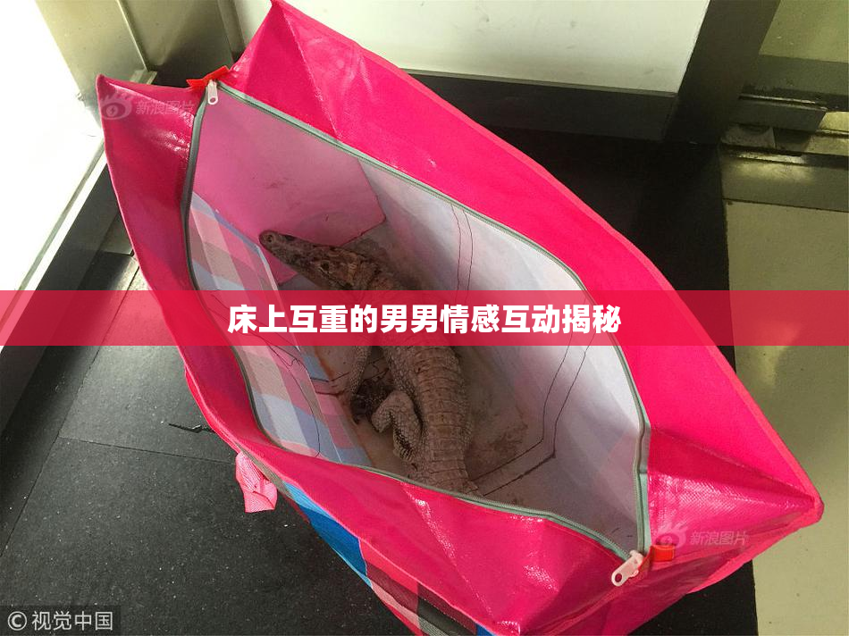 床上互重的男男情感互动揭秘